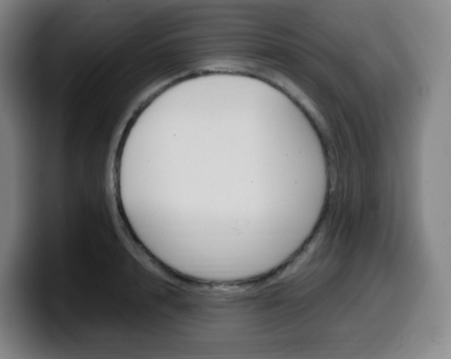 X0000099510848200805151009