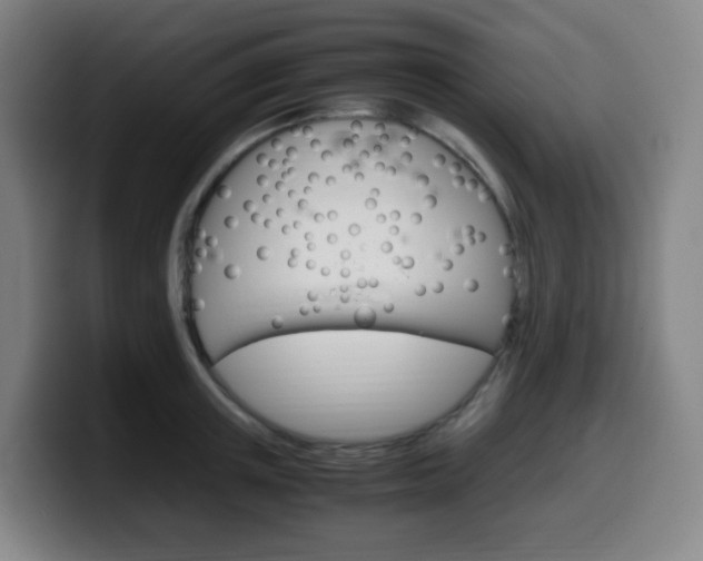 X0000099510851200805151009