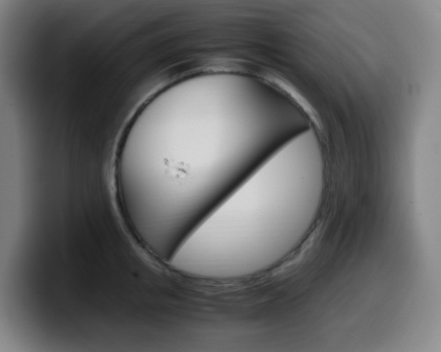 X0000099510853200805151009