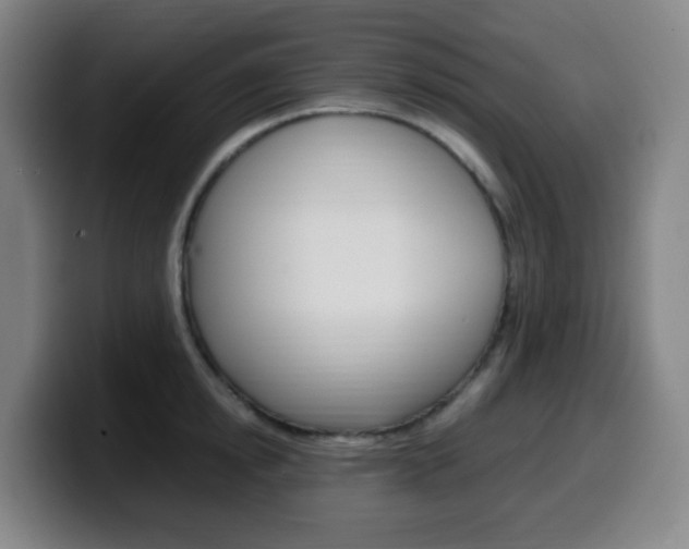 X0000099510854200805151009