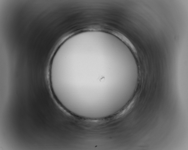 X0000099510855200805151009