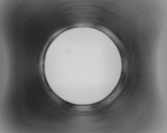 X0000099510856200805151009