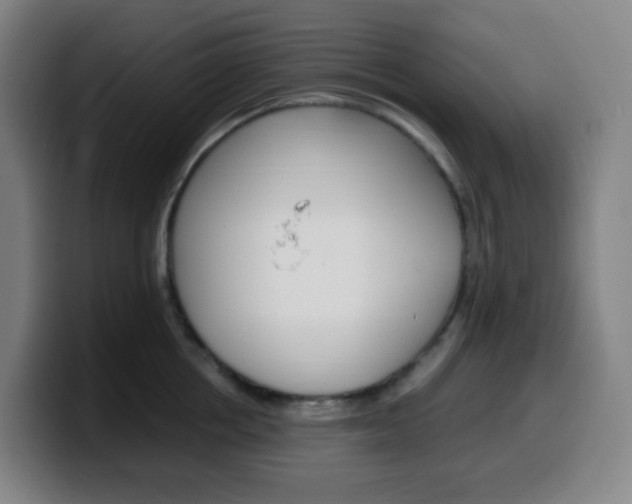 X0000099510858200805151009