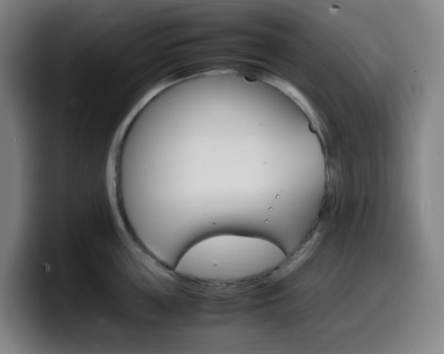 X0000099510859200805151009