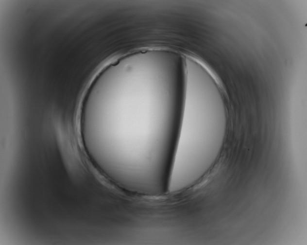 X0000099510861200805151009