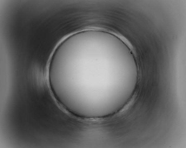 X0000099510862200805151009