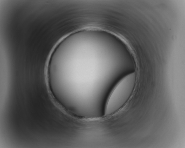 X0000099510864200805151009