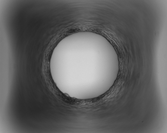 X0000099510865200805151009