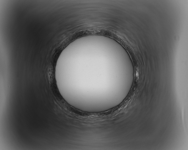 X0000099510867200805151009