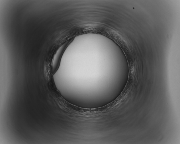 X0000099510868200805151009