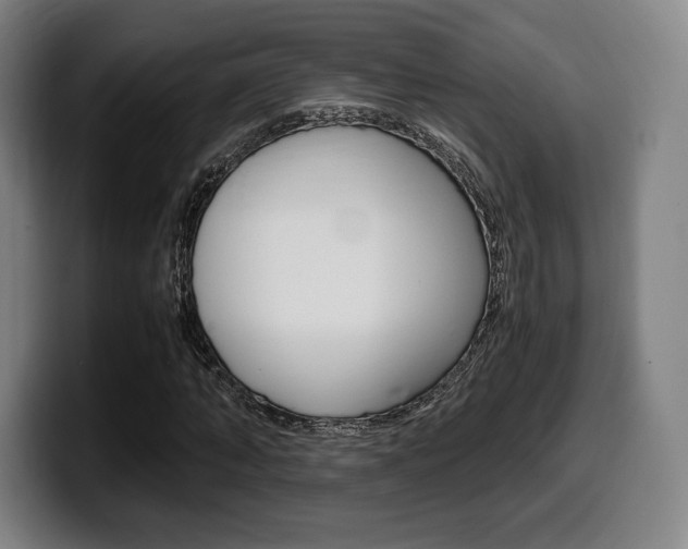 X0000099510870200805151009