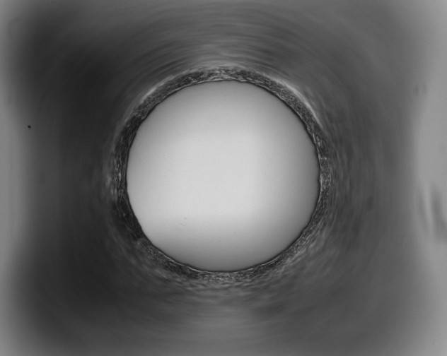 X0000099510871200805151009