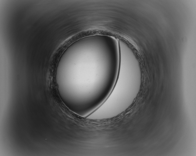 X0000099510872200805151008