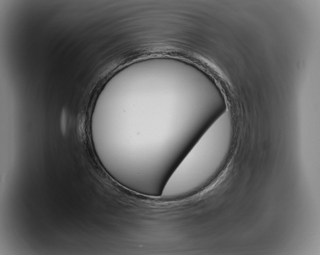 X0000099510873200805151008