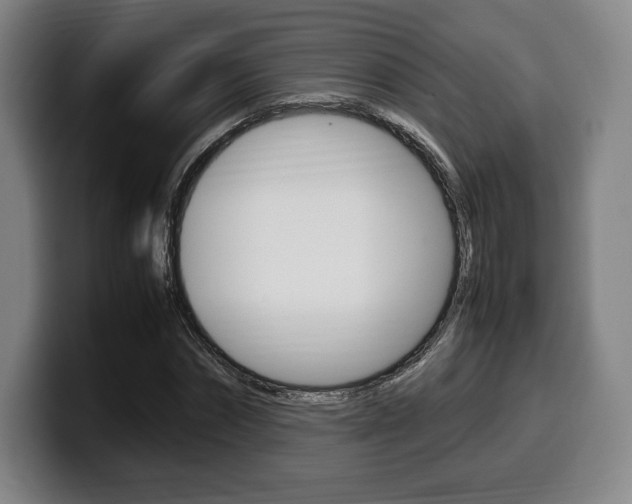 X0000099510874200805151008