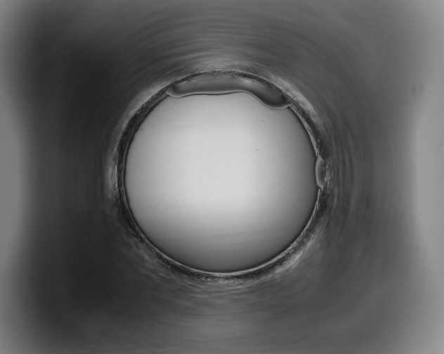 X0000099510877200805151008