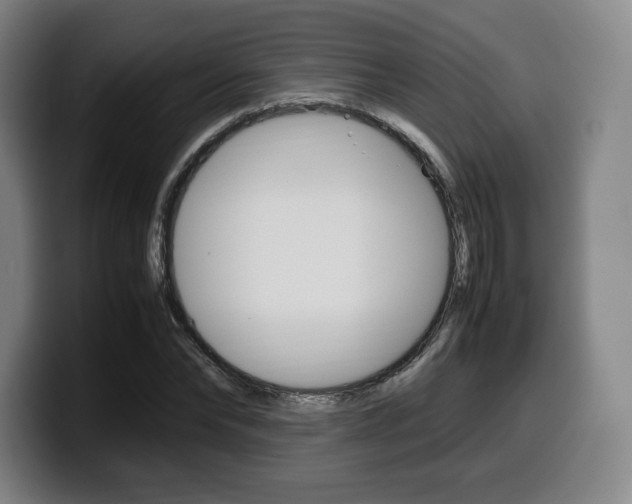 X0000099510878200805151008