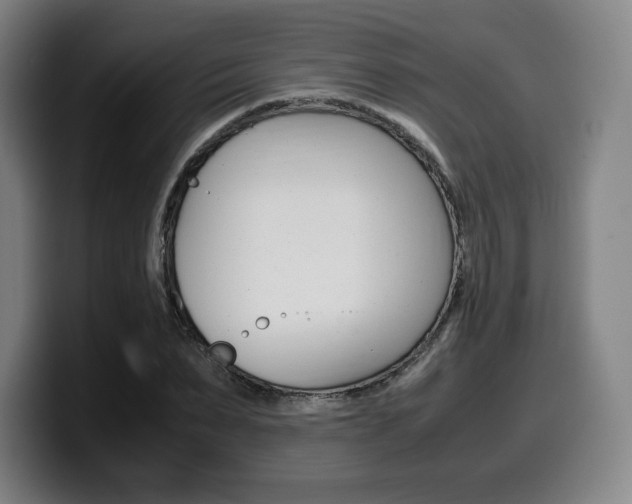X0000099510879200805151008