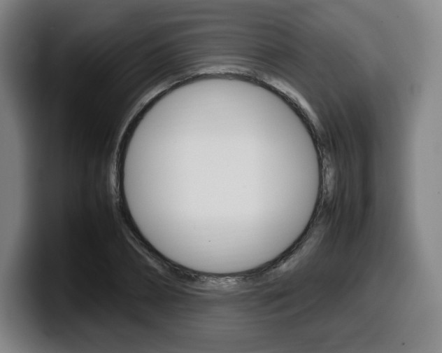 X0000099510882200805151008