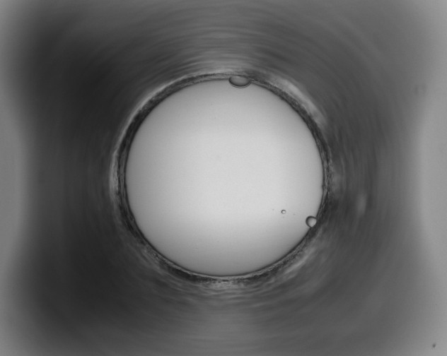 X0000099510883200805151008