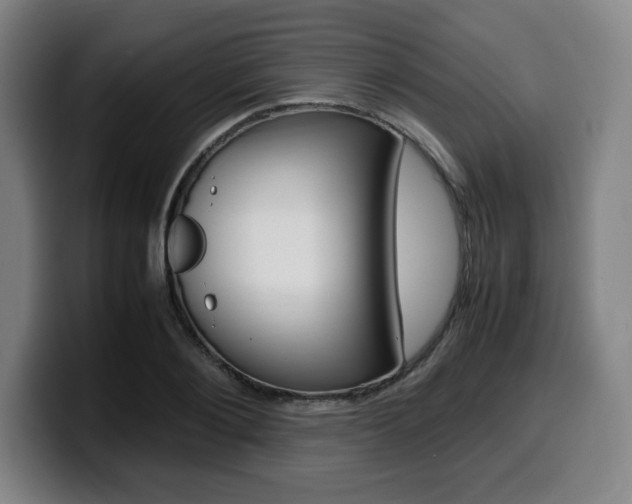 X0000099510884200805151008