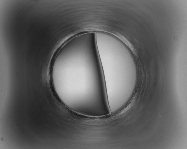 X0000099510885200805151008