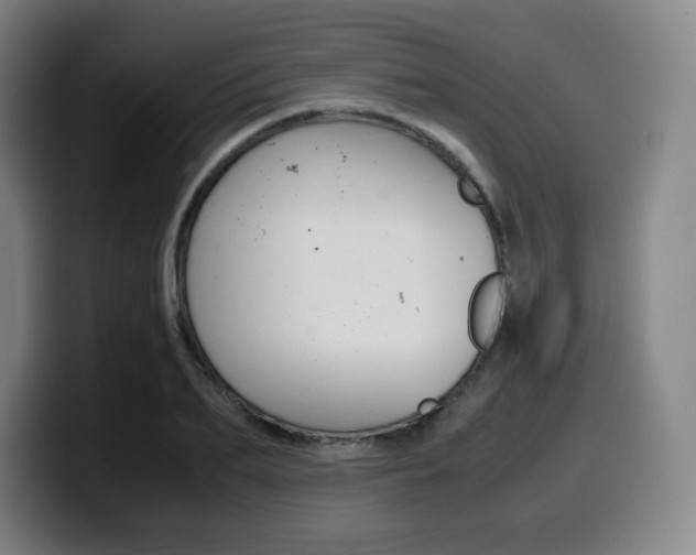 X0000099510887200805151008