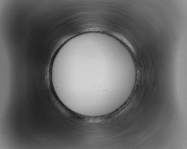 X0000099510890200805151008