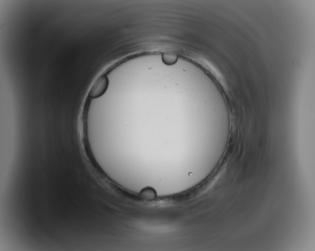 X0000099510891200805151008