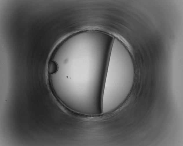 X0000099510894200805151008