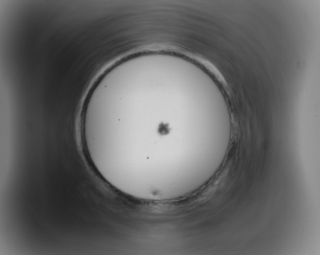X0000099510895200805151008