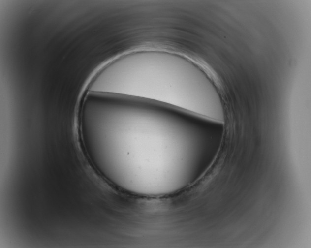 X0000099510896200805151008