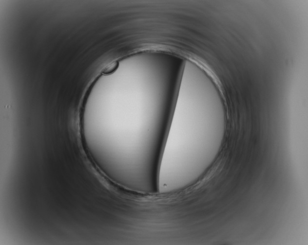 X0000099510898200805151008