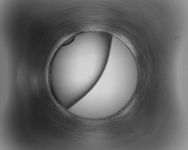 X0000099510901200805151008