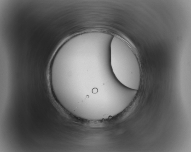 X0000099510907200805151008