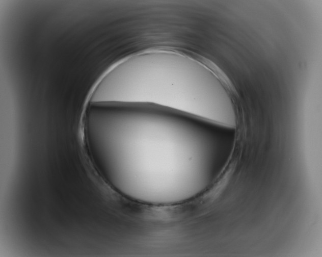 X0000099510908200805151008
