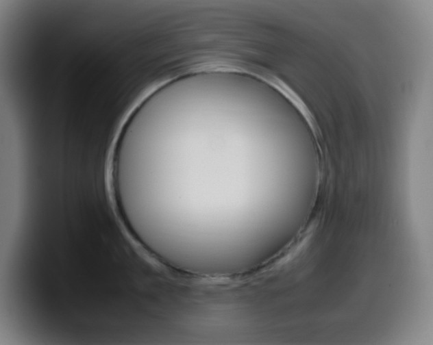 X0000099510909200805151008