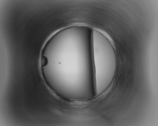X0000099510910200805151008