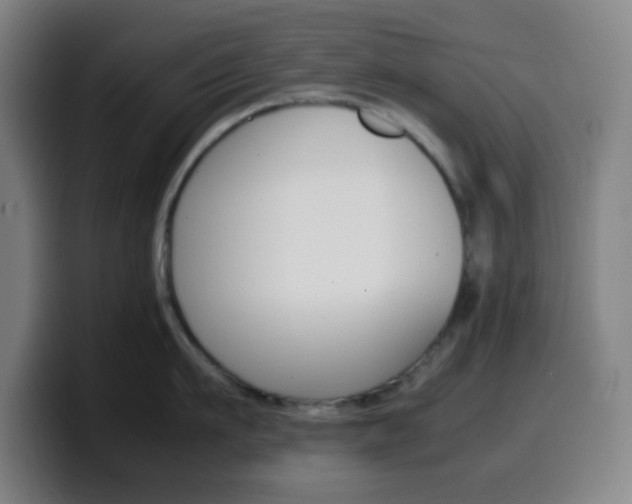 X0000099510911200805151008