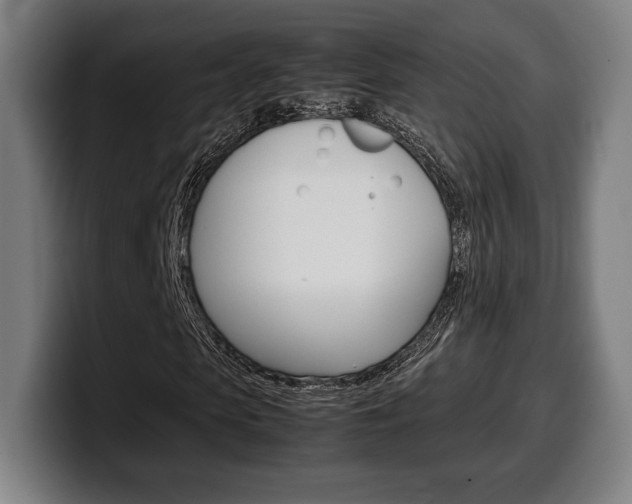 X0000099510913200805151007