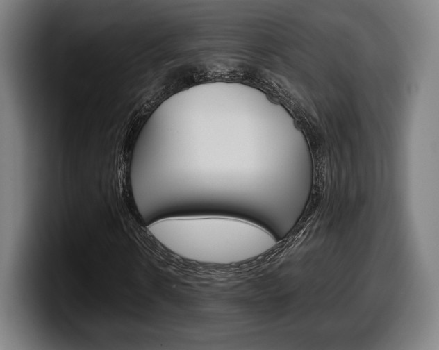 X0000099510914200805151007
