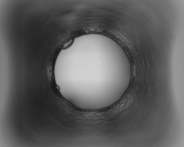 X0000099510915200805151007