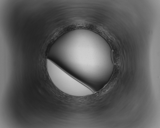 X0000099510916200805151007