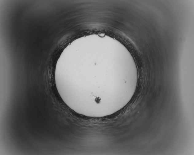 X0000099510918200805151007