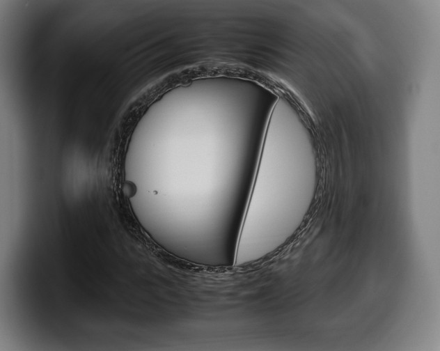 X0000099510919200805151007