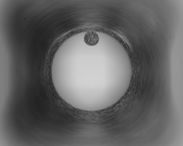 X0000099510920200805151007