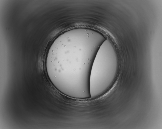 X0000099510921200805151007