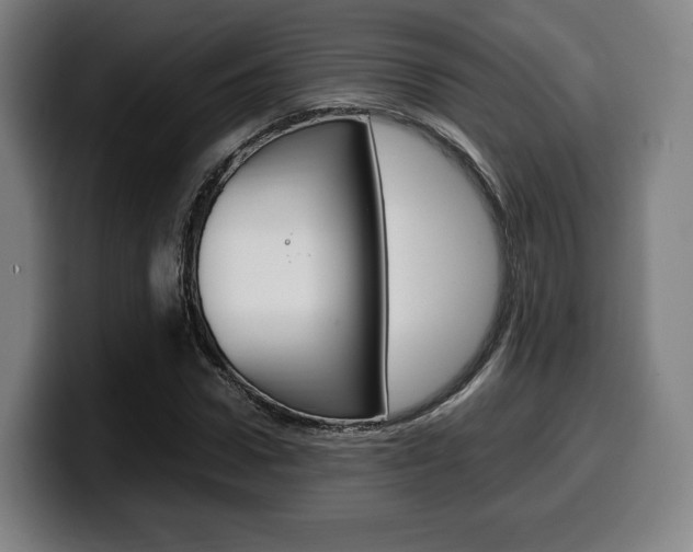 X0000099510922200805151007