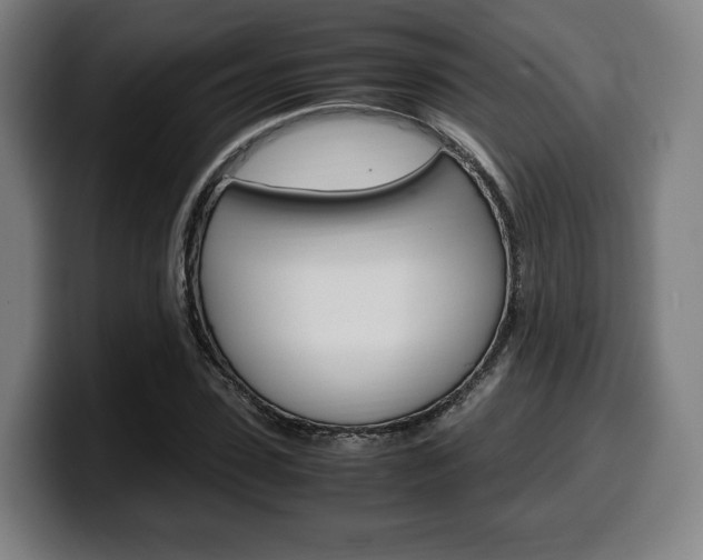X0000099510923200805151007