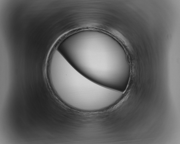 X0000099510924200805151007